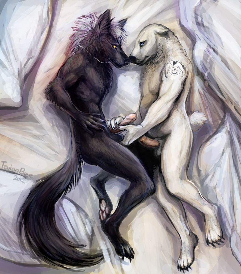 anthro ball_fondling balls bear canid canine canis duo e621 erection fondling genitals handjob humanoid_genitalia humanoid_penis male male/male mammal nude overweight penile penis polar_bear sex tail tevionbee ursine wolf