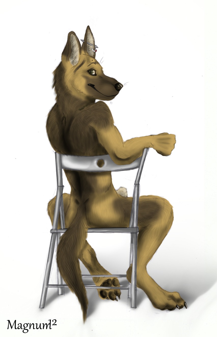 animal_genitalia anthro butt canid canine canis chair domestic_dog e621 ear_piercing feet fully_sheathed furniture genitals german_shepherd herding_dog hi_res hindpaw industrial_piercing magnum_(artist) male mammal pastoral_dog paws piercing sheath smile solo tail