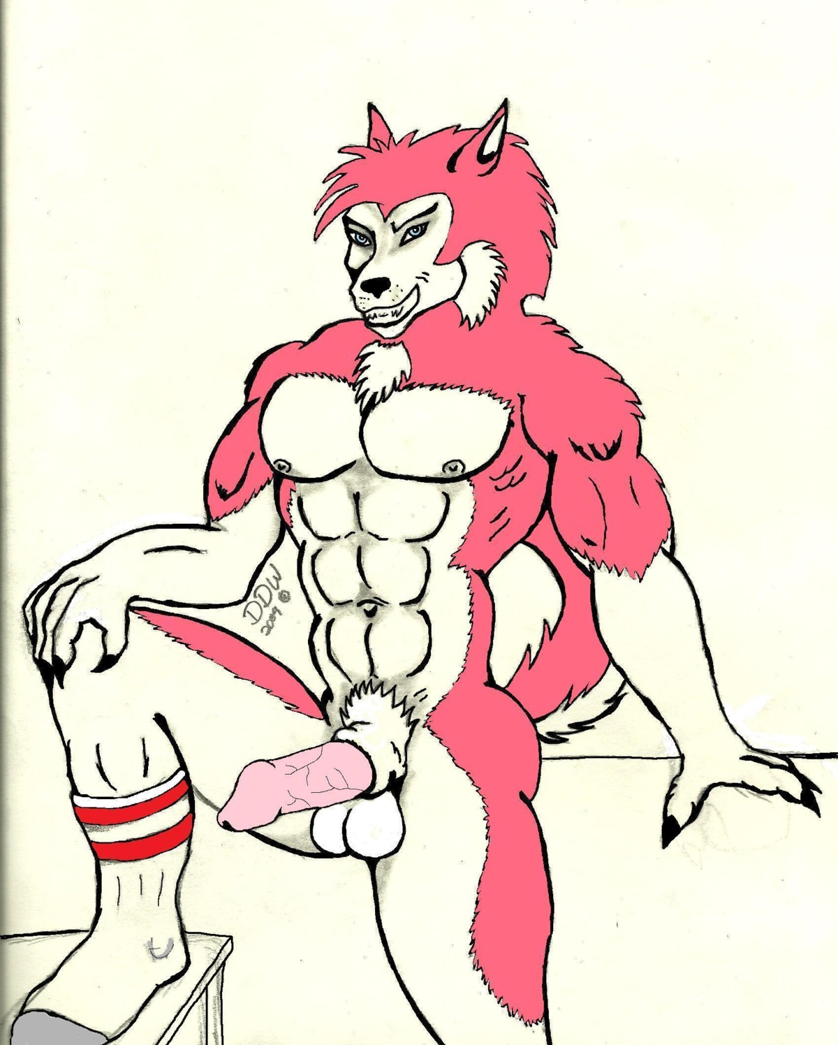 2009 animal_genitalia anthro clothing ddw e621 erection footwear genitals hi_res legwear male muscular muscular_anthro muscular_male nipples penis sheath socks solo tail