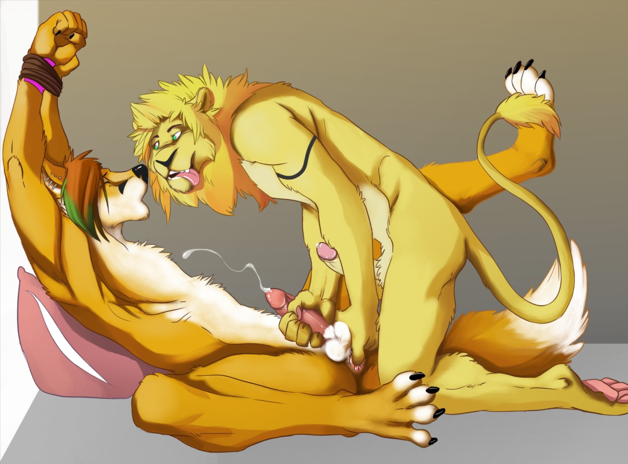 2013 anal anal_fingering anal_penetration anthro anthro_fingered anthro_fingering anthro_fingering_anthro anthro_on_anthro anus arcticlion arms_above_head balls bdsm bed biceps big_muscles big_penis bodily_fluids bondage bound butt canid canine cum cumshot dominant dominant_male duo e621 ejaculation erection eyes_closed felid fingering fingering_partner forced forced_orgasm fox furniture genital_fluids genitals hair handjob hands_tied humanoid_genitalia humanoid_penis inside lion male male/male male_fingering_male male_penetrated male_penetrating male_penetrating_male mammal muscular muscular_male nude on_bed open_mouth orgasm orgasm_face pantherine penetration penile penis restrained restraints rope rope_bondage sex submissive submissive_male tongue tongue_out