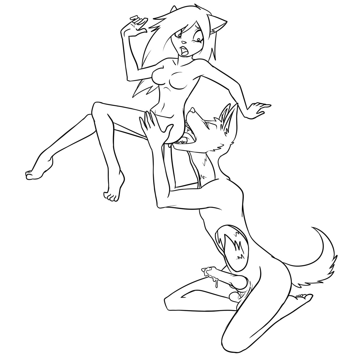 1:1 anthro canid canine canis coyote cutaway duo e621 erection female female_prey genitals hi_res knot line_art male male/female male_pred mammal monochrome penis procyonid raccoon scared soft_vore tail_first unknown_artist vore