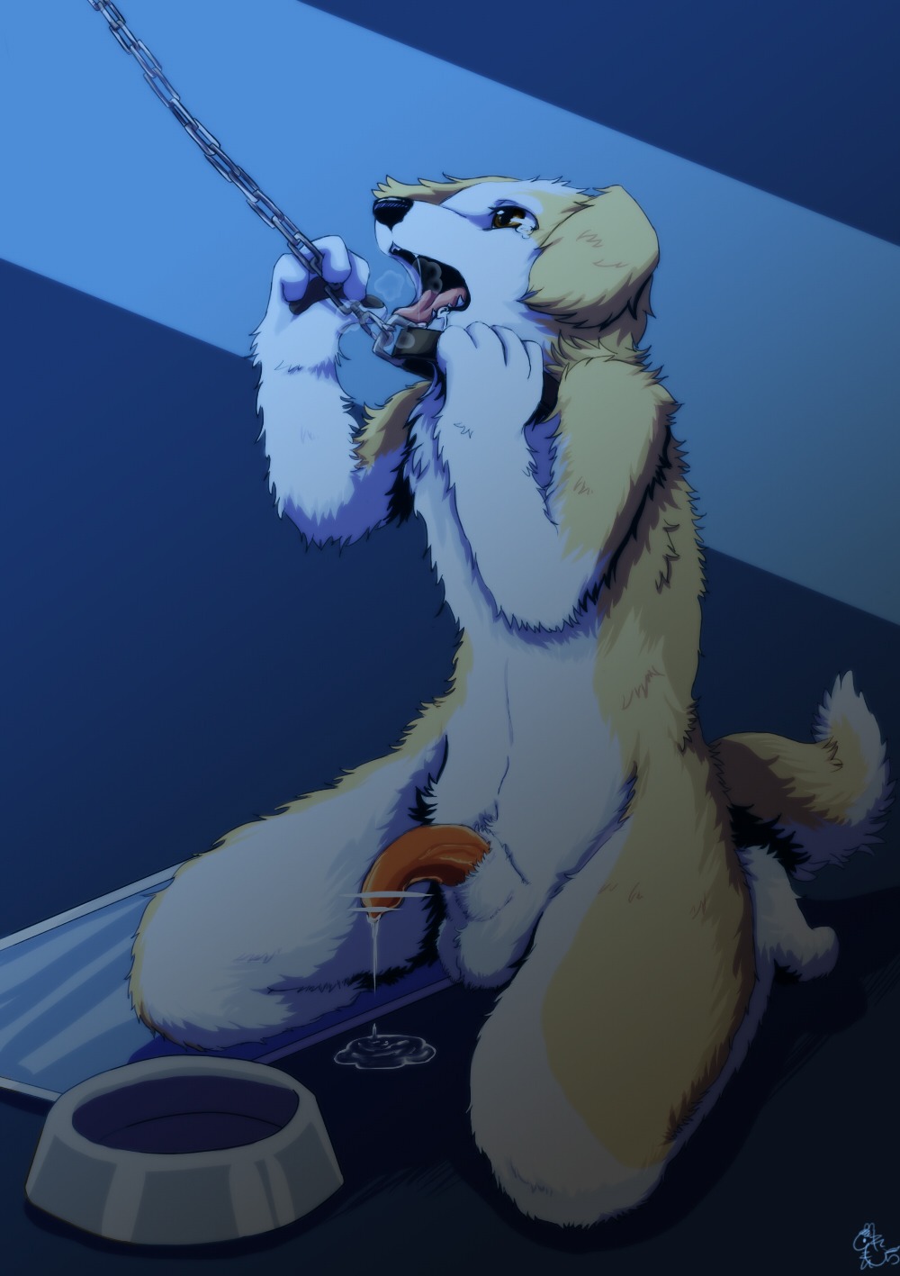 anthro balls biped bodily_fluids canid canine collar drooling e621 flaccid genital_fluids genitals hi_res kneeling leash leash_pull male mammal nude penis precum saliva solo tazima