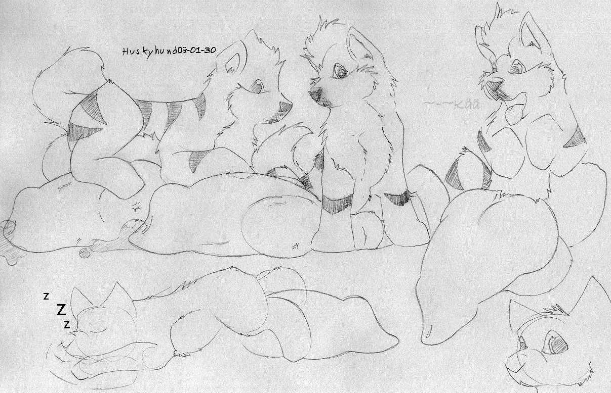 canine feral growlithe hyper male male_only pokemon pokemon_(species) rule34 tagme