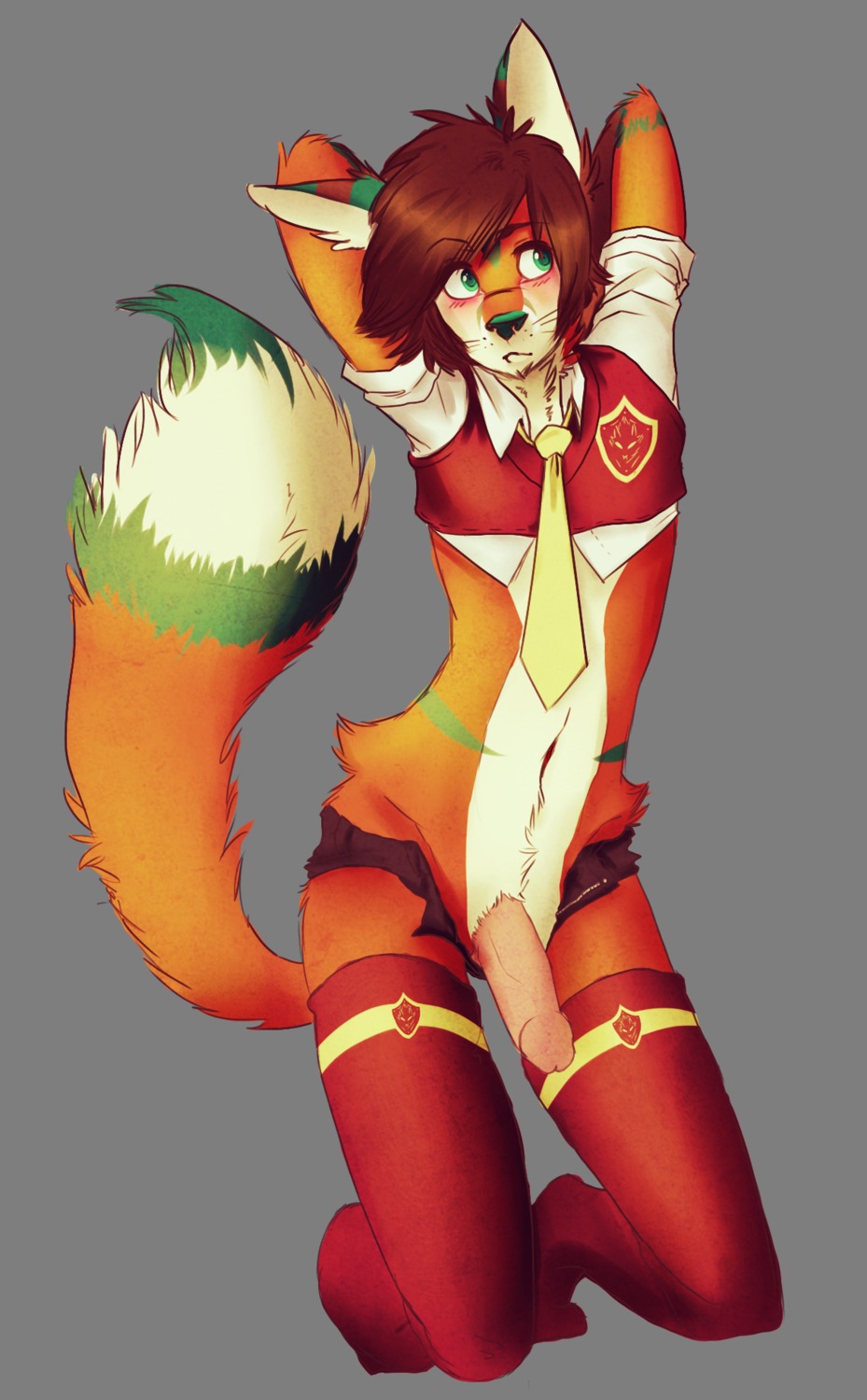 accessory alpha_channel anthro blush brown_hair canid canine clothing e621 erection femboy fox genitals hair hi_res humanoid_genitalia humanoid_penis male mammal necktie penis slickfox solo