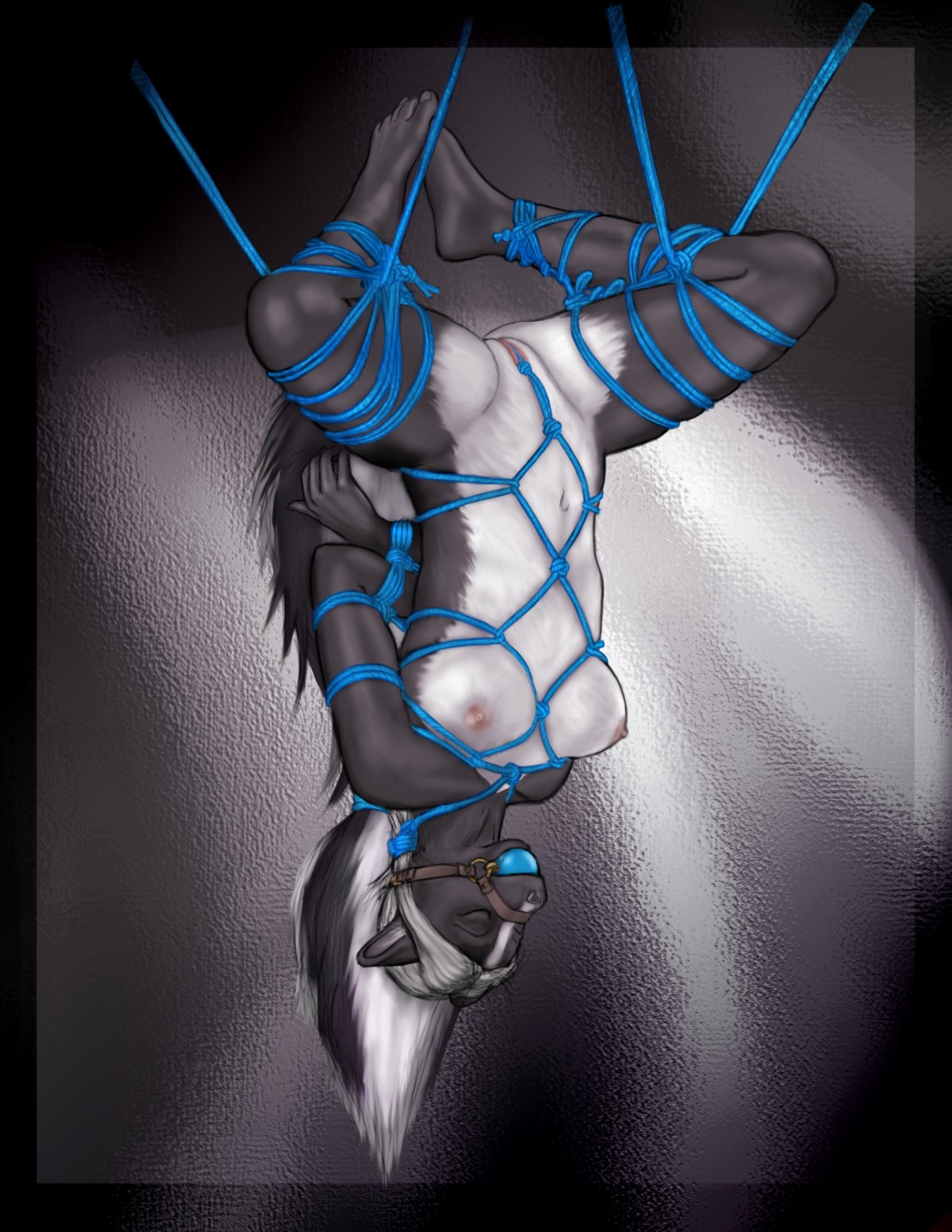 5_toes anthro areola ball_gag bdsm biped black_body black_fur blue_ball_gag blue_rope bondage bound breasts crotch_rope e621 feet female fur gag gagged genitals hair hanging_breasts harness hi_res long_hair mammal mephitid miyu_(rimefox) navel nipples nude restraints rimefox rope rope_bondage rope_harness skunk solo spread_legs spreading submissive submissive_anthro submissive_female suspension tail toes upside_down vulva white_body white_fur white_hair