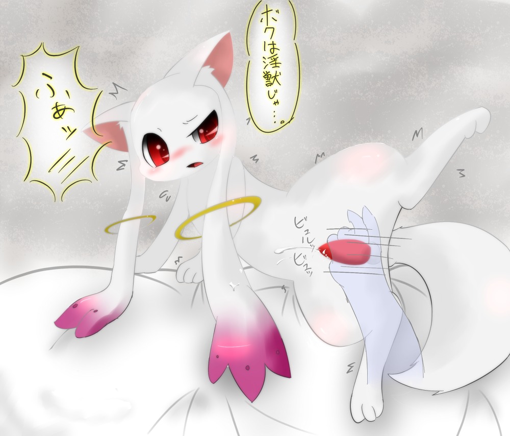 furry kyuubee mahou_shoujo_madoka_magica male puella_magi_madoka_magica rule34