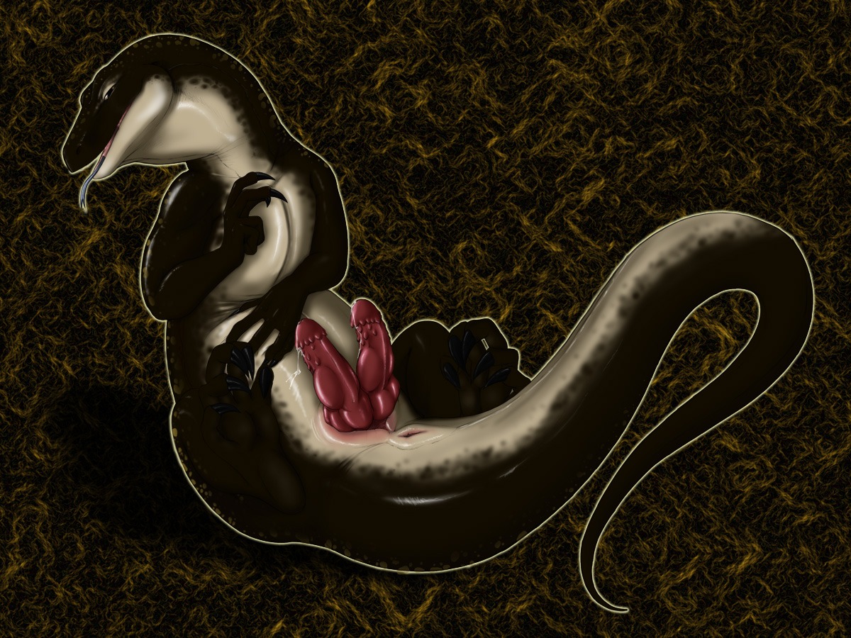 2009 2_penises 4:3 5_fingers 5_toes animal_genitalia animal_penis anus black_claws blue_tongue bodily_fluids brown_background claws e621 erection esartist feet feral fingers forked_tongue genital_fluids genital_slit genitals hemipenes lizard looking_at_viewer lying male monitor_lizard multi_genitalia multi_penis narrowed_eyes on_back open_mouth penis pose precum presenting presenting_penis red_penis reptile scalie seductive simple_background solo tail textured_background toes tongue tongue_out
