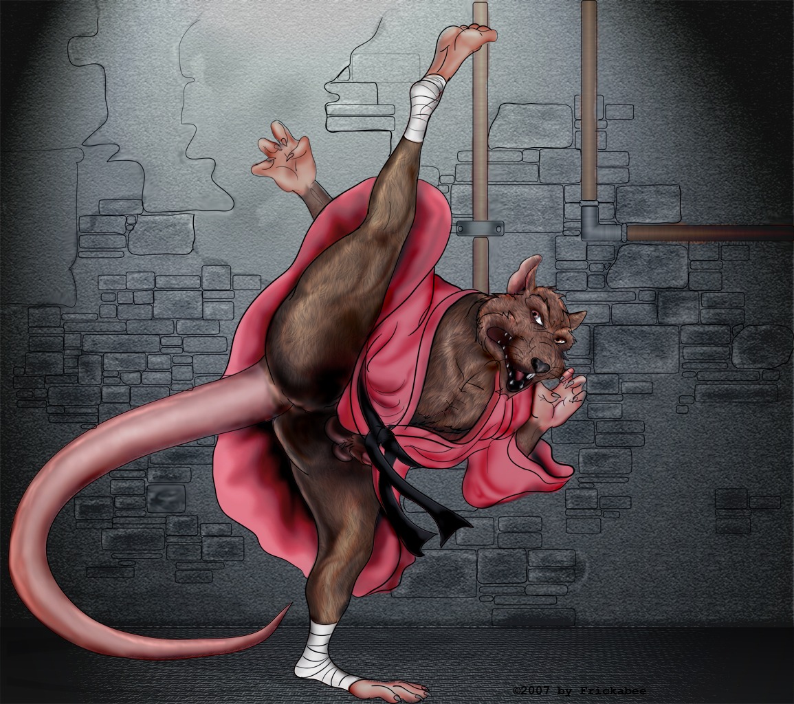 1boy 2007 anthro balls frickabee furry male male_only master_splinter master_splinter_(tmnt_1987) penis rat rodent rule34 straight_hair tagme teenage_mutant_ninja_turtles tmnt_1987