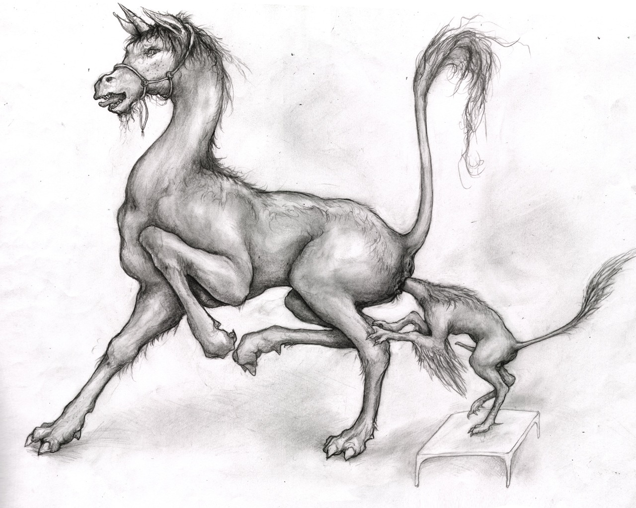 anus awe big_butt butt detailed duo e621 equid equine erection female female_penetrated feral feral_on_feral genitals graphite_(artwork) greyscale hair hairy horn larger_female larger_penetrated lost_my_keys male male/female male_penetrating male_penetrating_female mammal monochrome mythological_creature mythological_equine mythology nude penetration penis raised_tail sex size_difference smaller_male tail traditional_media_(artwork) unbirthing unicorn unknown_species vaginal vore vulva what what_has_science_done