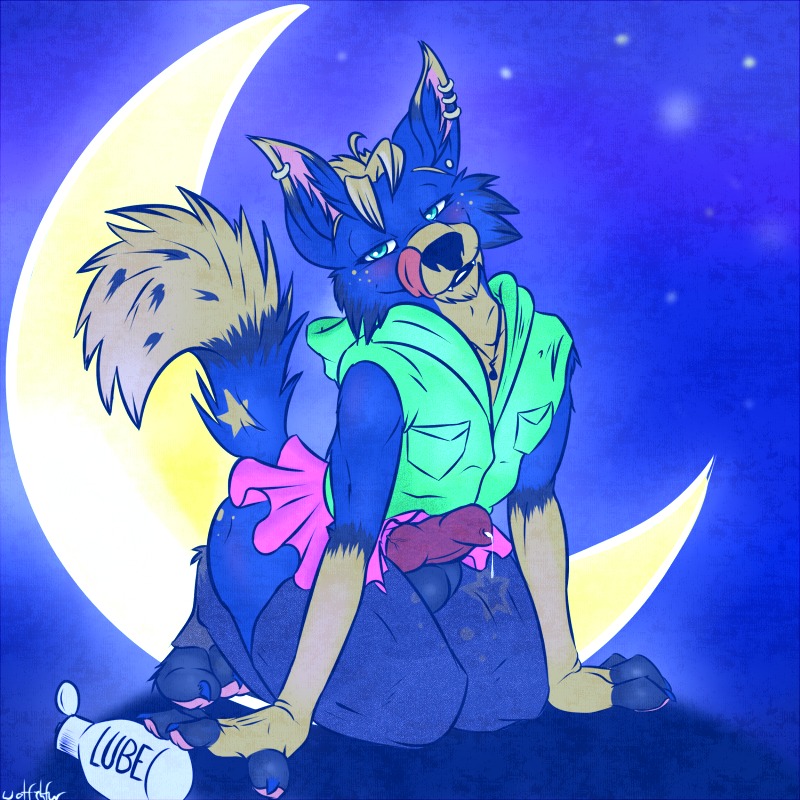 1:1 anthro blue_eyes bottomwear canid canine clothed clothing crossdressing dipstick_tail e621 ear_piercing erection genitals hoodie looking_at_viewer lube male mammal markings moon night outside penis piercing skirt sky solo star starry_sky tail tail_markings tongue topwear wolfehfur