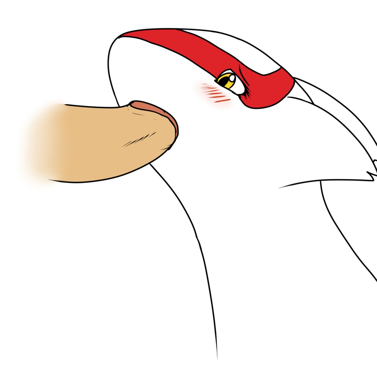 color disembodied_penis fellatio female fur furry human interspecies latias male oral penis pokemon pokemon_(species) rule34 shikaro straight white_background