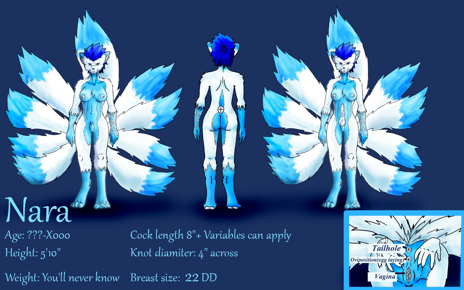 2010 anthro anus ass blue blue_eyes blue_hair breasts canine canine_penis erection fluff fox fur furry futanari hair intersex kitsune knot multi_tail nara nipples nude penis pussy rule34 sheath short_hair tail tails white_fur white_nipples white_penis white_pussy