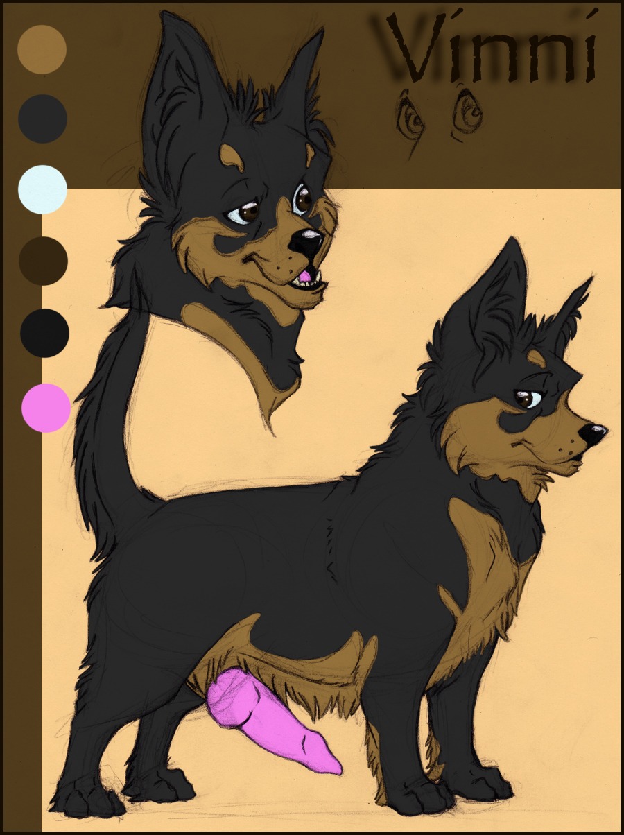 animal_genitalia animal_penis canid canine canine_genitalia canine_penis canis domestic_dog e621 erection feral genitals hi_res knot male mammal nude ookami-girl penis solo vinni