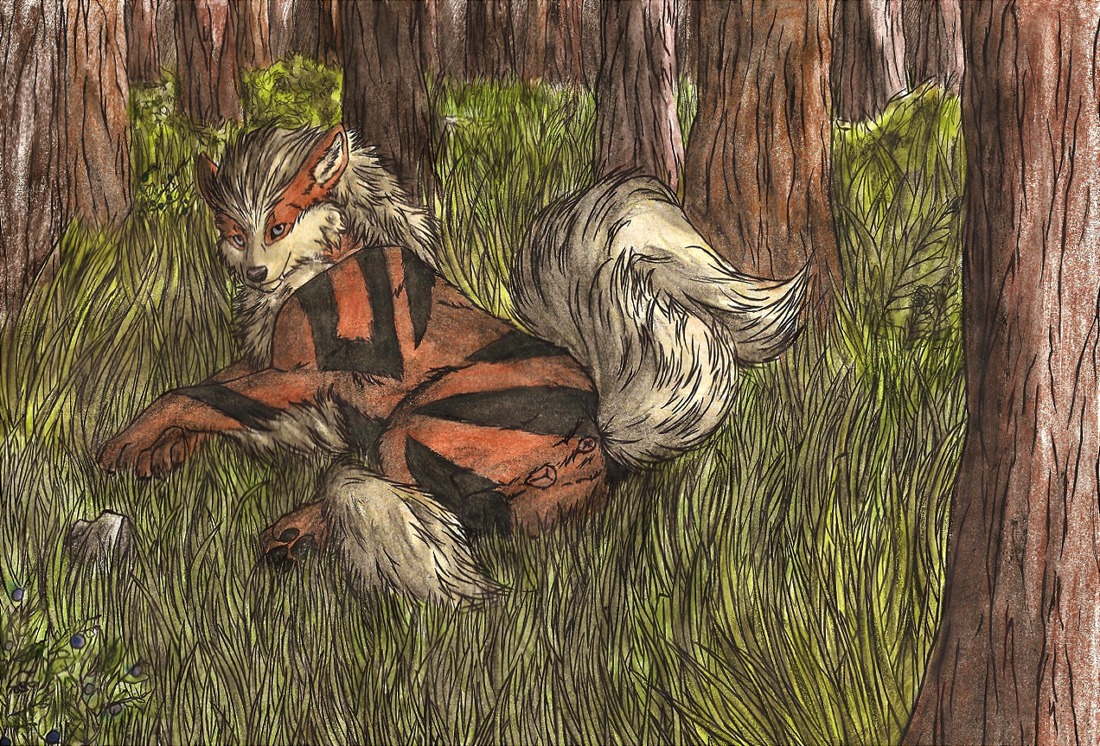 anatomically_correct anatomically_correct_genitalia anatomically_correct_vulva animal_genitalia animal_vulva anus arcanine butt canid canine canine_genitalia canine_vulva detailed_background e621 female feral forest generation_1_pokemon genitals looking_at_viewer lying mammal nature nintendo outside plant pokemon pokemon_(species) presenting raised_tail shendadog solo tail tree vulva