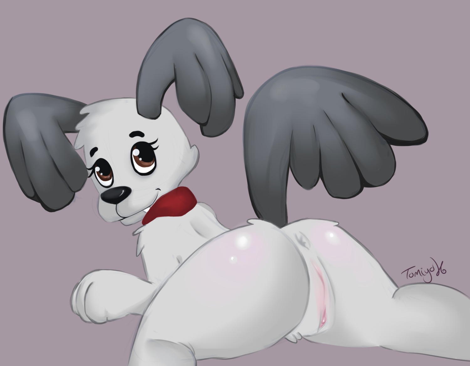 anthro anus butt canid canine e621 female genitals hasbro hi_res looking_at_viewer lying mammal pound_puppies pound_puppies_(2010) presenting presenting_hindquarters rebound_(pound_puppies) solo tail tomiyoko vulva young young_anthro young_female