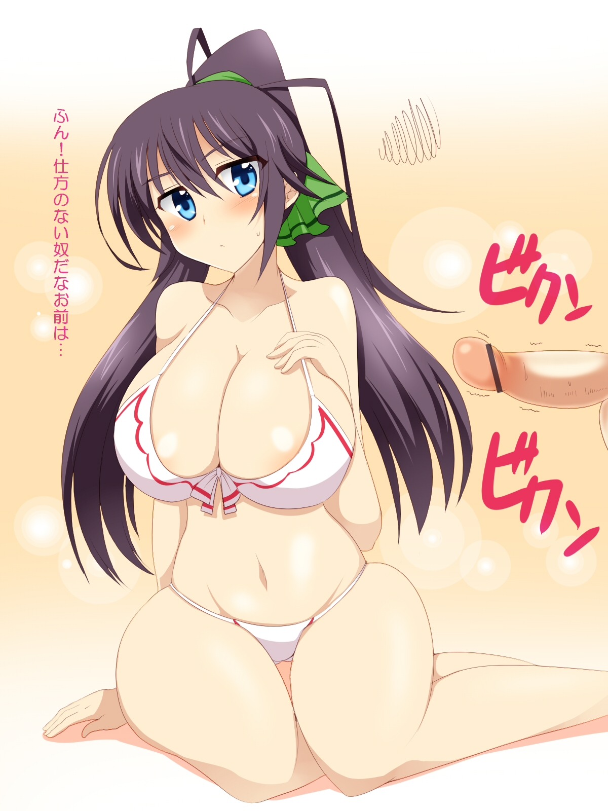 bikini blush breasts censored cleavage female highres infinite_stratos large_breasts male penis rule34 shinonono_houki swimsuit wedge
