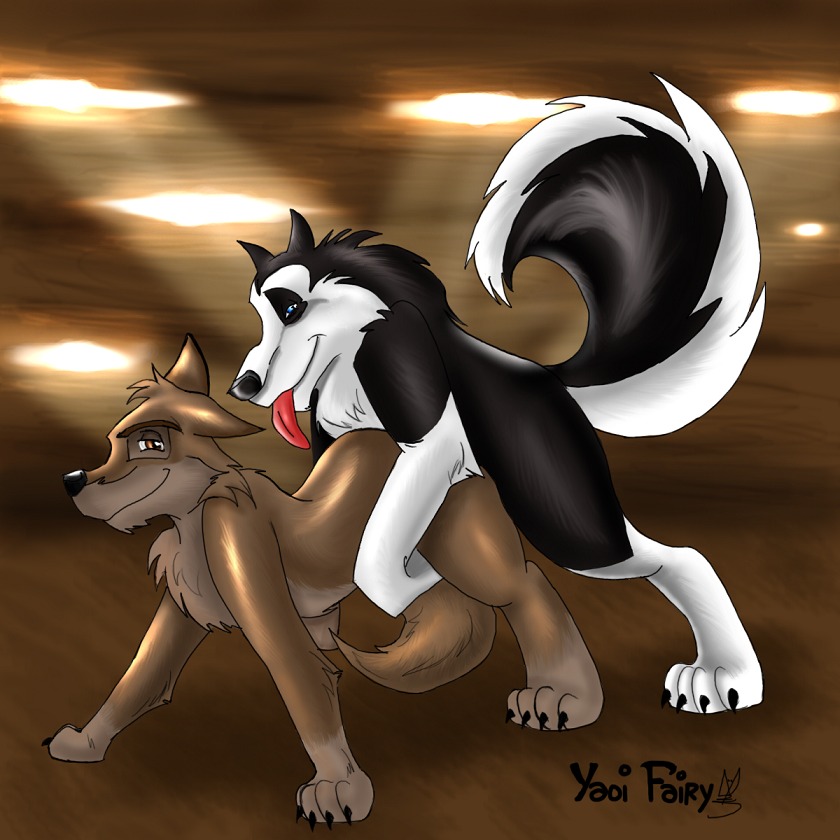 balto balto_(film) canine duo feral furry furry_only gay male male_only mammal no_humans rule34 steele_(balto) yaoi_fairy