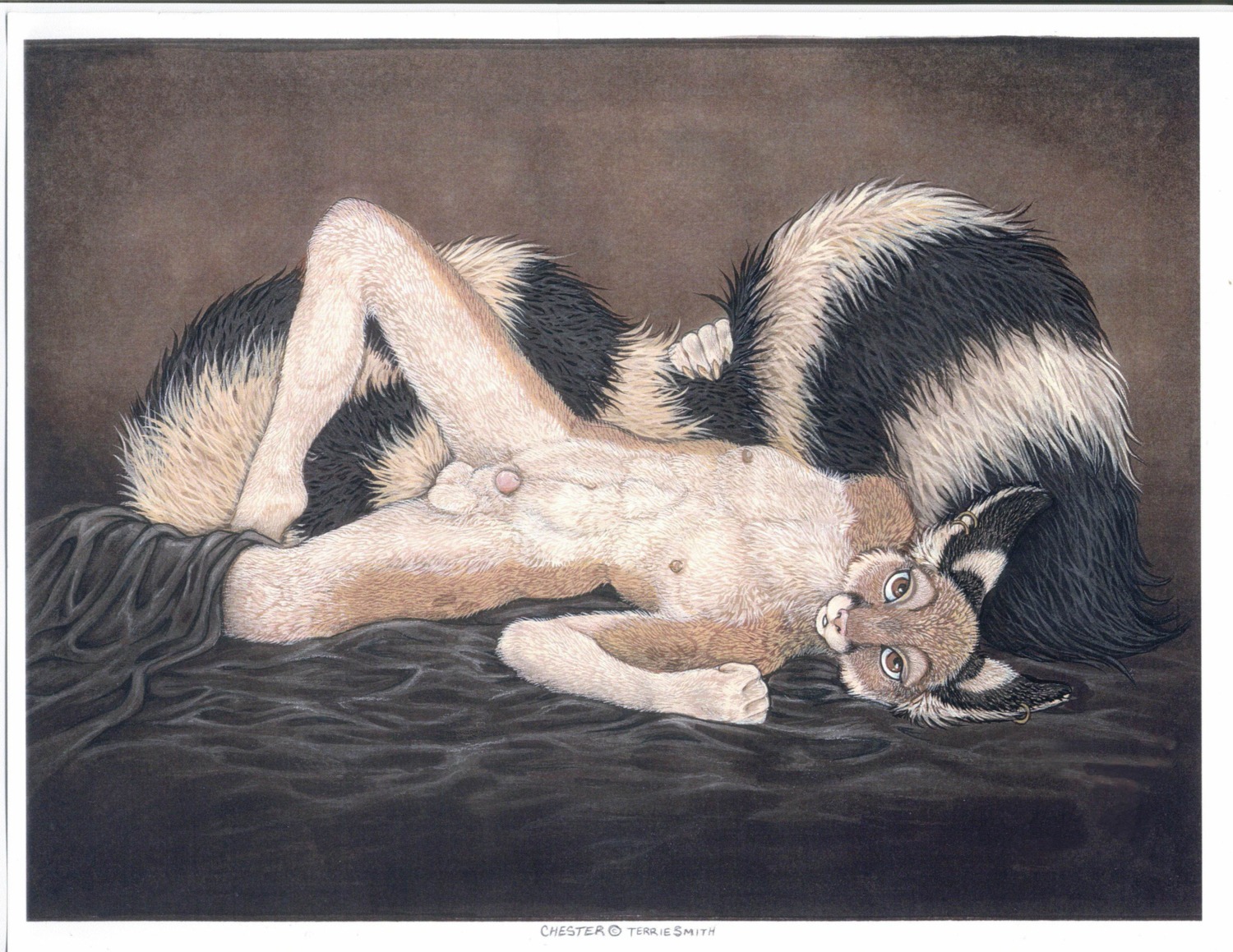 absurd_res animal_genitalia anthro balls bassariscus bedding biped blanket cacomistle chester_ringtail_magreer dark_natasha e621 fluffy fluffy_tail fully_sheathed fur genitals havoc_inc. hi_res long_tail looking_at_viewer lying male mammal markings nipples nude on_back on_side penis penis_tip procyonid ring_(marking) ringed_tail sheath solo striped_markings striped_tail stripes tail tail_markings