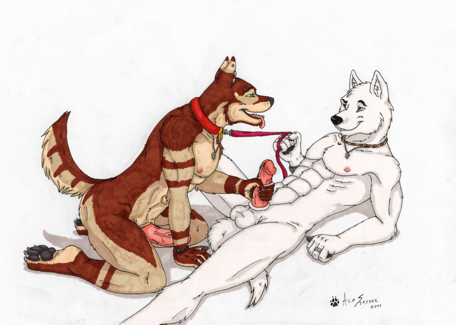 2011 ace_stryker anthro athletic balls blue_eyes canid canine canis collar domestic_dog duo e621 ear_piercing erection genitals green_eyes hi_res jewelry male male/male mammal muscular necklace nipples nude open_mouth penis piercing simple_background tail tongue tongue_piercing white_background wolf