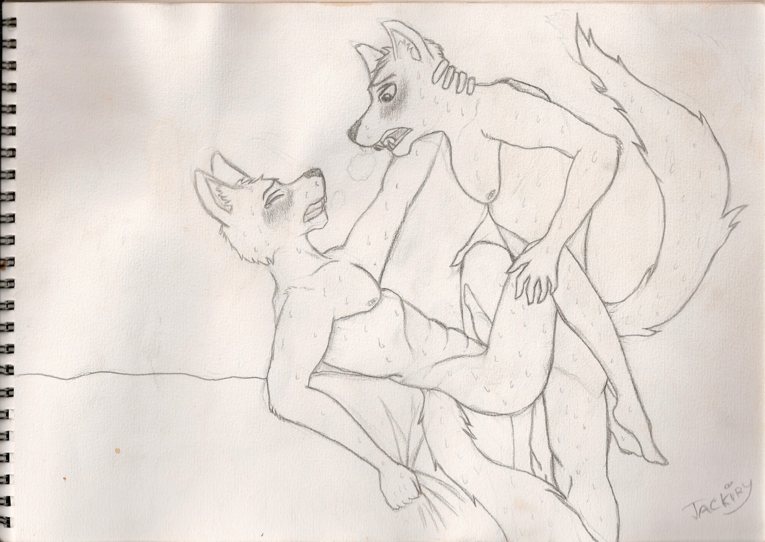 absurd_res anal anal_penetration anthro bed bodily_fluids canid canine canis duo e621 erection eyes_closed furniture genitals hi_res jackiry lying male male/male male_penetrated male_penetrating male_penetrating_male mammal nude on_back penetration penis sex simple_background sketch sweat tears teeth traditional_media_(artwork) white_background wolf