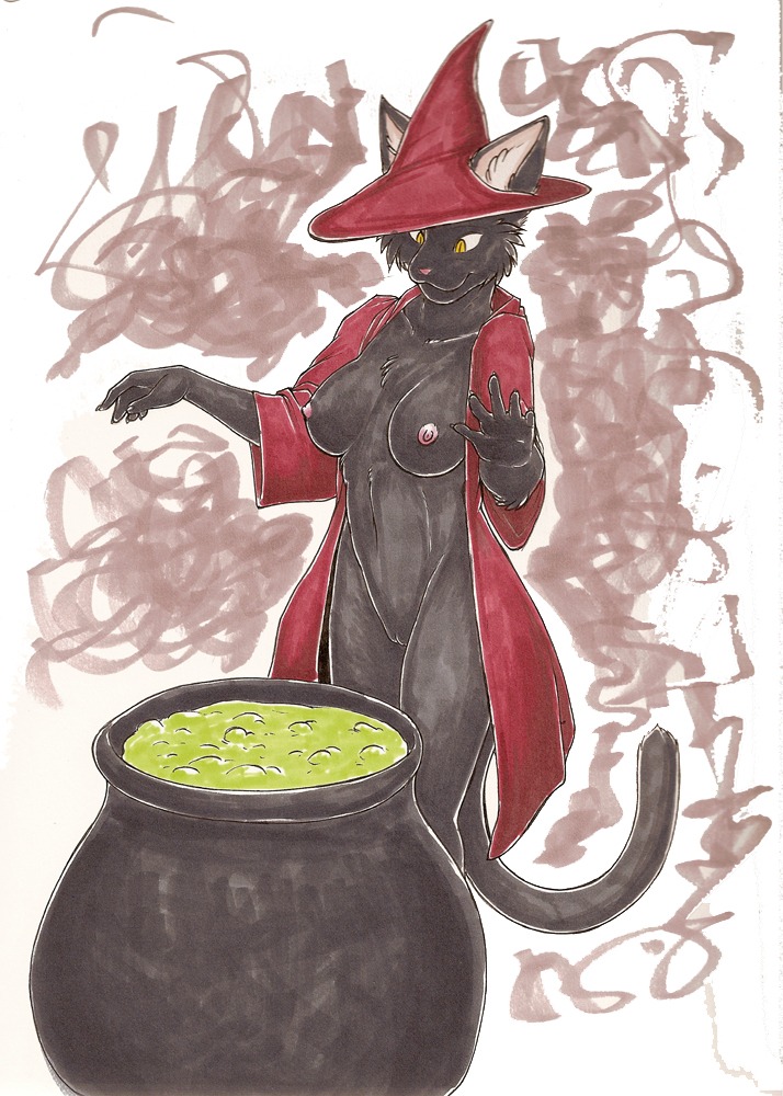 anthro black_body black_fur breasts cauldron clothing coat digital_media_(artwork) domestic_cat e621 felid feline felis female fur genitals halloween hat headgear headwear holidays magic_user mammal marker_(artwork) meesh nipples smoke solo tail topwear traditional_media_(artwork) vulva witch witch_hat