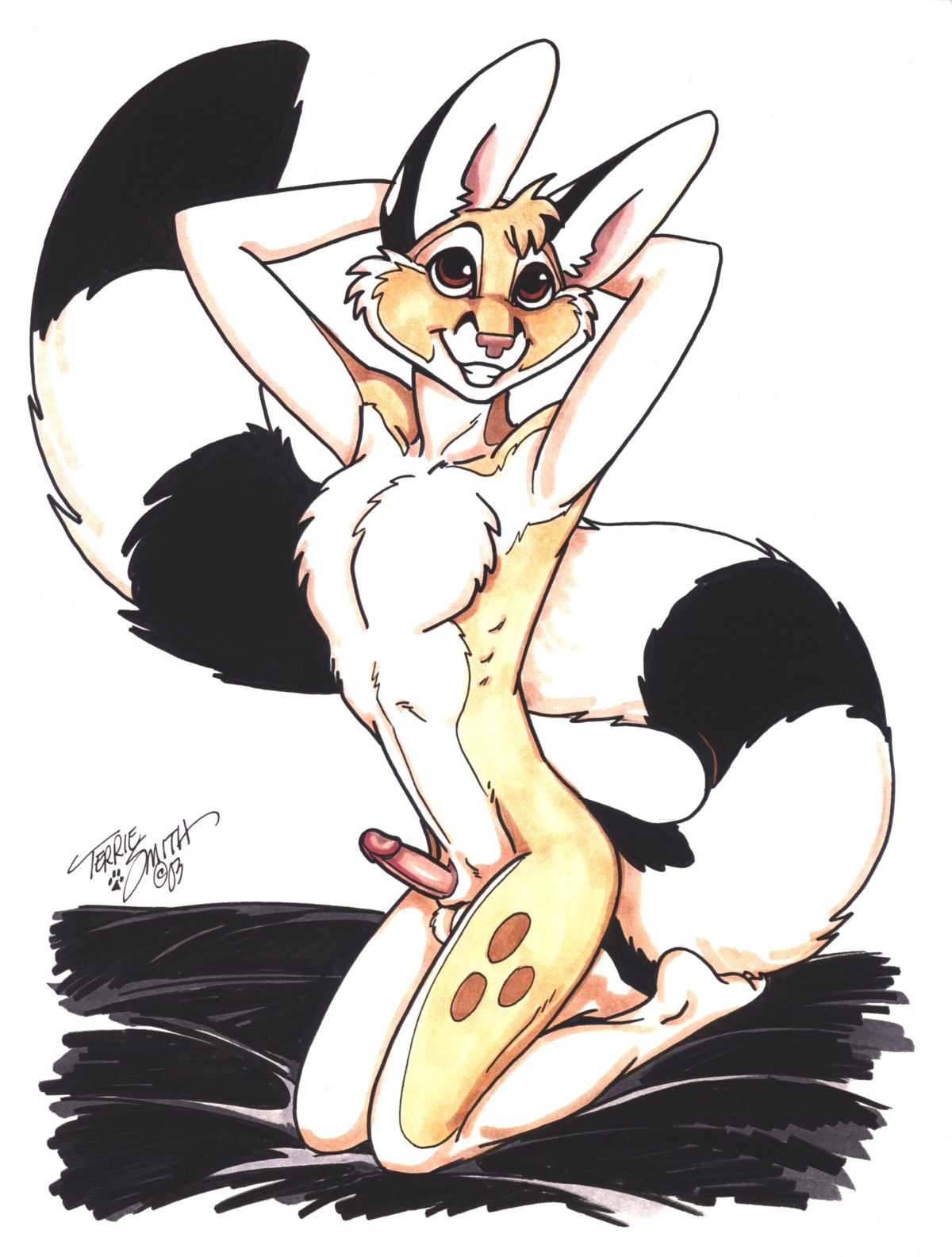 1boy balls bassarisk bed chester_ringtail_magreer furry high_resolution kneeling male male_only miner&rsquo;s_cat nude penis pose raised_arm ring-tailed_cat ringtail rule34 solo terrie_smith