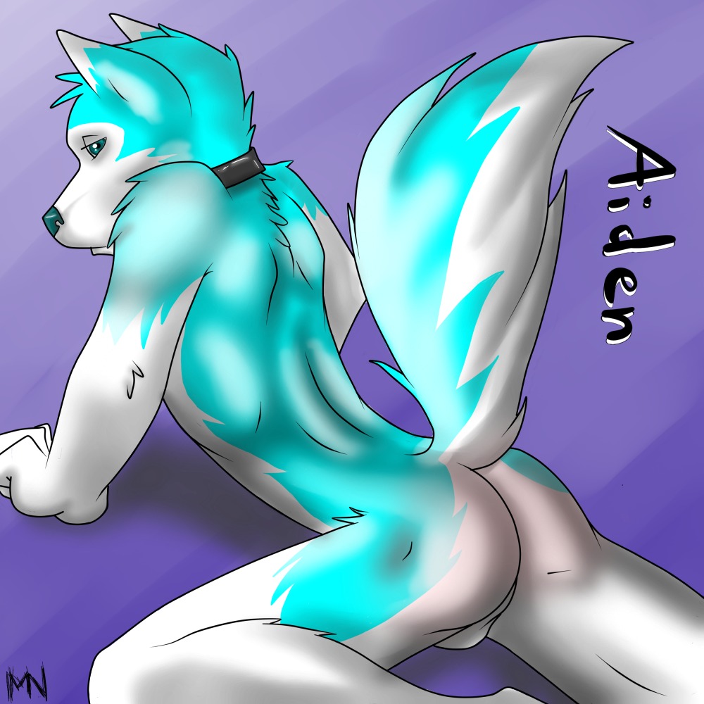 1:1 aiden_(milo_nettle) anthro backsack balls blue_body blue_fur butt canid canine canis collar domestic_dog e621 fur genitals husky looking_at_viewer looking_back male mammal milo_nettle nordic_sled_dog perineum pose simple_background solo spitz tail teal_eyes teal_nose white_body white_fur