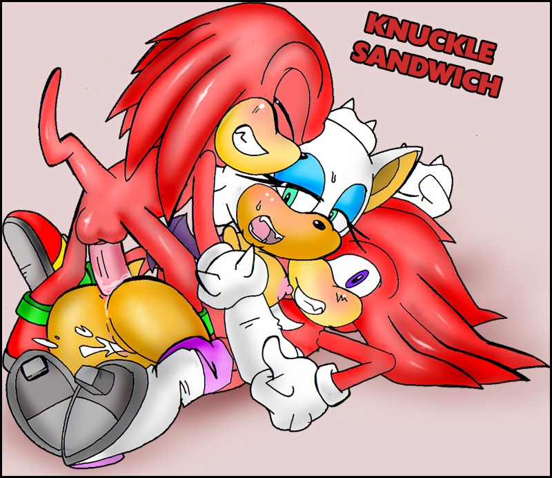 2009 anal anthro anus ass auntymoira balls bat blush bodily_fluids boots breasts butt catsprin classic_knuckles classic_sonic_(universe) clothing cum digital_drawing_(artwork) digital_media_(artwork) double_penetration e621 echidna erection female footwear from_behind_position fur genital_fluids genitals group handwear interspecies knuckles_the_echidna male male/female mammal mmf monotreme multiple_males nude penis purity pussy rouge_the_bat rule34 sega sex shoes short-beaked_echidna sonic_(series) sonic_the_hedgehog_(series) square_crossover straight sweat tagme text vaginal_fluids vaginal_penetration vulva