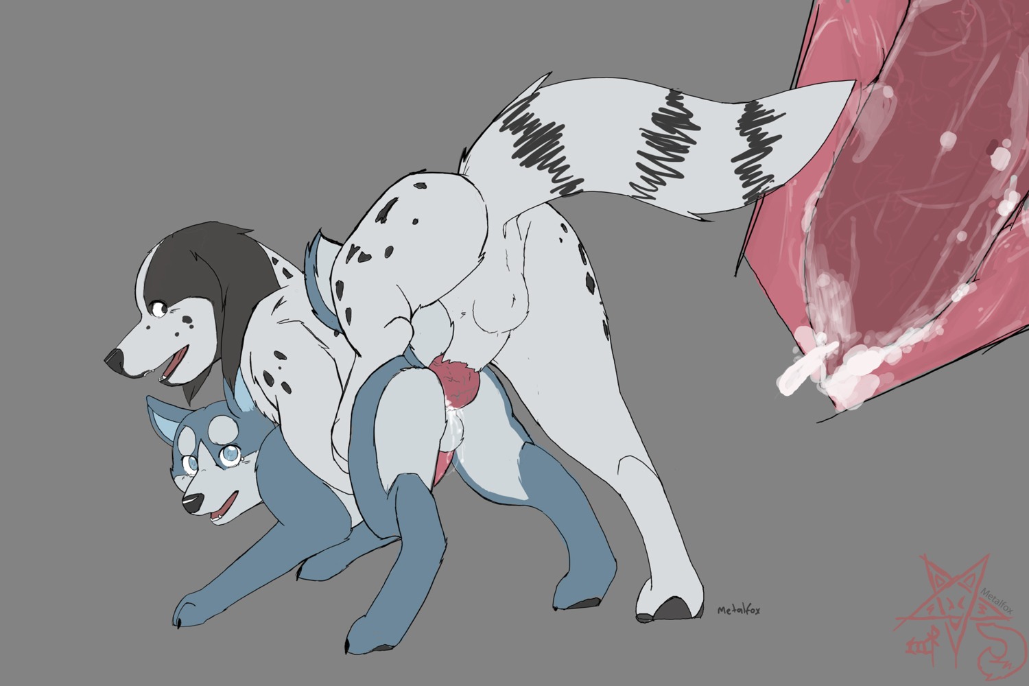 3:2 akita anal balls bodily_fluids canid canine canis cum cum_in_ass cum_inside domestic_dog duo e621 erection feral feral_on_feral gb_(ginga) genital_fluids genitals ginga_(series) hi_res knot looking_at_viewer male male/male male_penetrated male_penetrating male_penetrating_male mammal metalfox penetration penis sex spitz weed_(ginga)