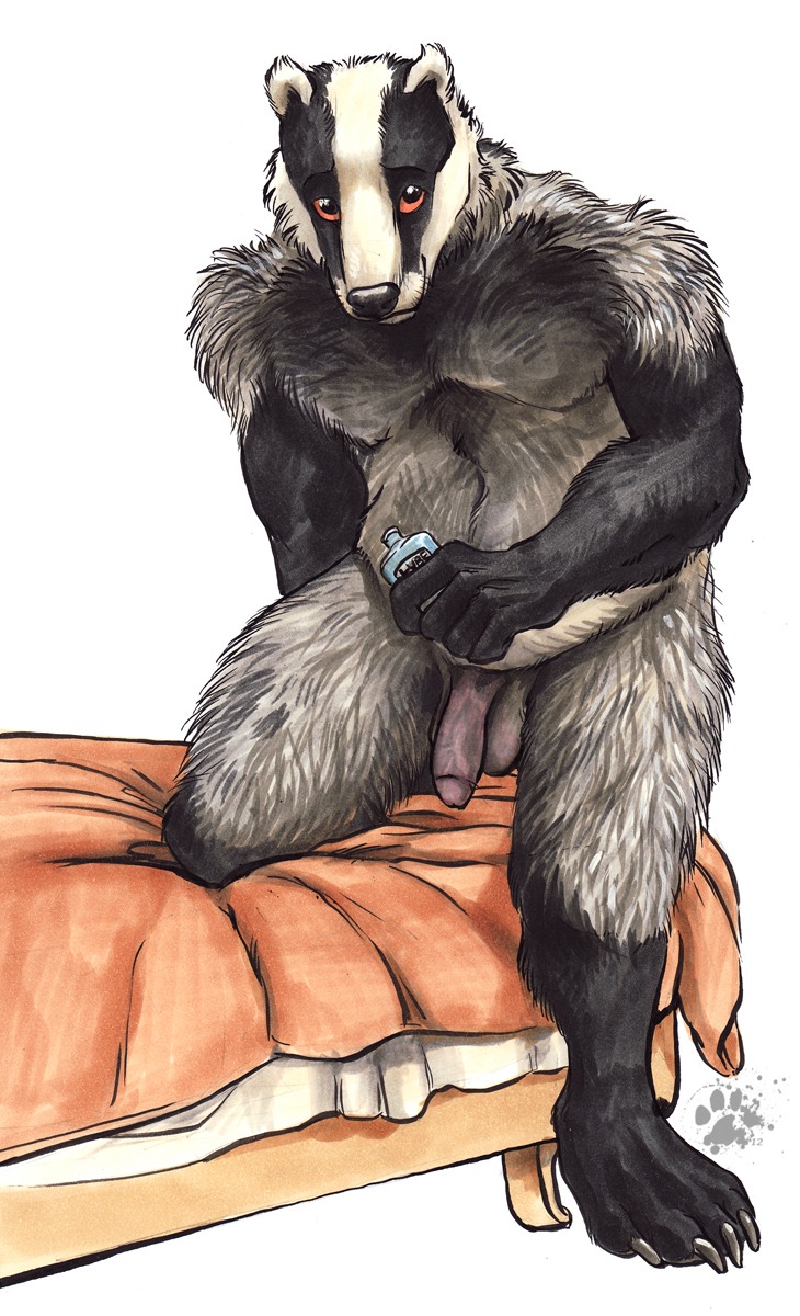 2012 anthro badger balls bed bed_sheet bedding biceps black_body black_fur blanket blotch claws e621 european_badger flaccid foreskin fur furniture genitals grey_body grey_fur hi_res humanoid_genitalia humanoid_penis looking_at_viewer lube male mammal meles muscular muscular_anthro muscular_male mustelid musteline nude orange_sclera penis scratches_volume_6 slightly_chubby solo toe_claws traditional_media_(artwork) white_body white_fur