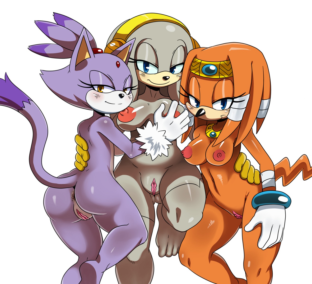 2014 anthro anus big_breasts blaze_the_cat blue_eyes blue_sclera blush breast_grab breasts butt circlet clothing crooked_tail digital_media_(artwork) domestic_cat e621 echidna fan_character felid feline felis female genitals gloves grey_body group hand_on_breast handwear hi_res jewelry looking_at_viewer mammal monotreme mostly_nude necklace nipples nude orange_body presenting presenting_hindquarters purple_body sega short-beaked_echidna simple_background smile sonic_adventure sonic_the_hedgehog_(series) sssonic2 tail thick_thighs tikal_the_echidna vulva white_background wide_hipped_anthro wide_hipped_female wide_hips yellow_body zeta_the_echidna