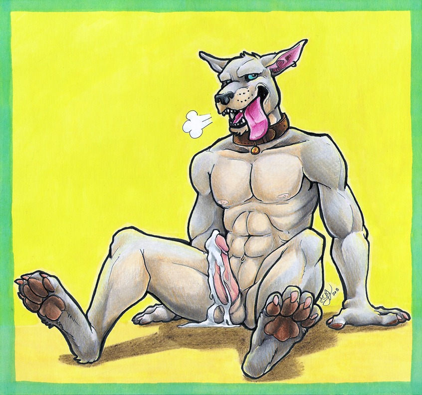 after_orgasm airu anthro balls blue_eyes bodily_fluids breath canid canine canis collar cum cum_on_balls domestic_dog e621 erection genital_fluids genitals male mammal muscular muscular_anthro muscular_male panting paws penis piercing solo tongue tongue_out
