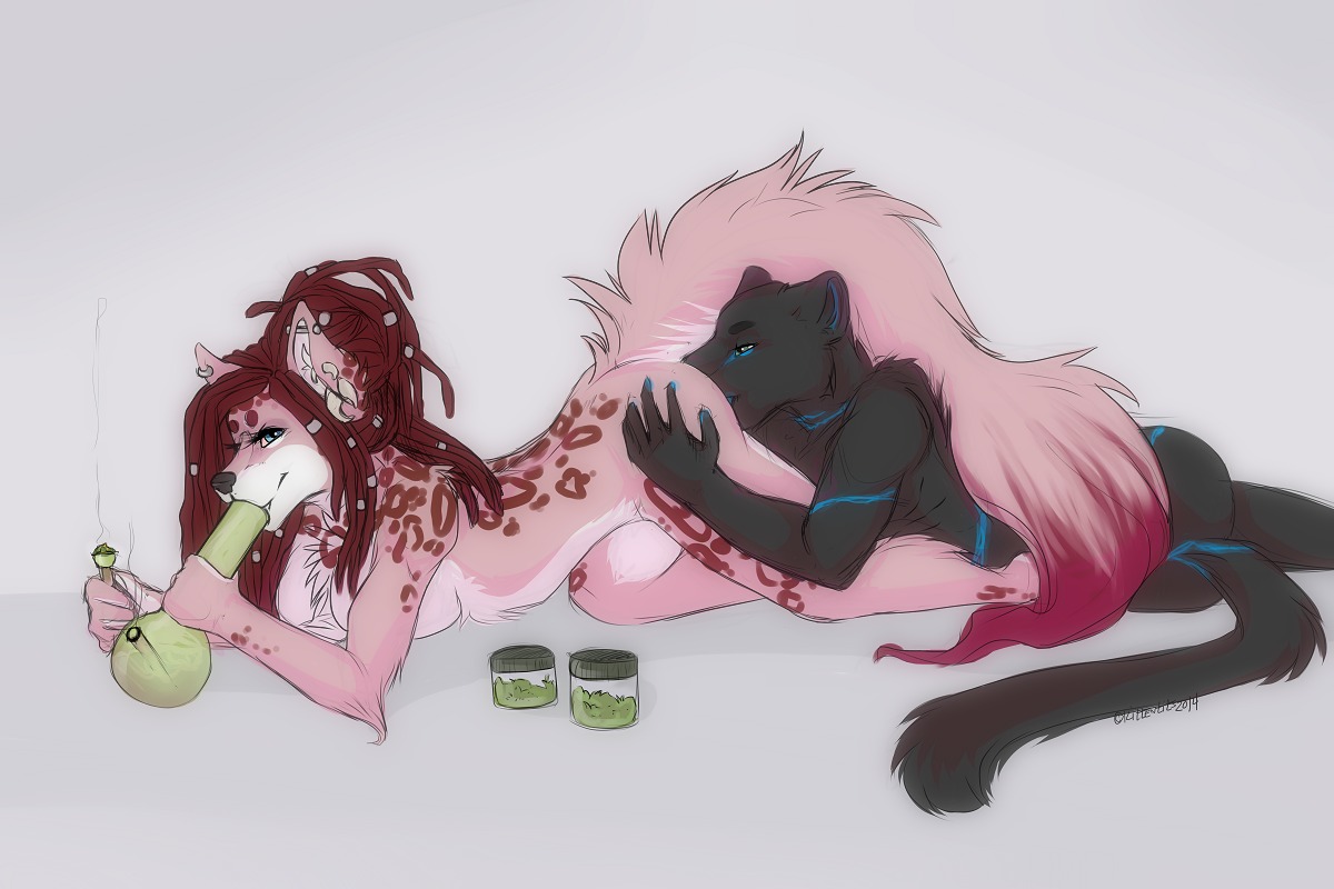 2014 3:2 anal anthro bong breasts butt cunnilingus drugs duo e621 ear_piercing eyelashes felid female fur hair half-closed_eyes happy kittentits leopard male male/female mammal marijuana narrowed_eyes nude oral pantherine piercing rimming sex smile smoking vaginal