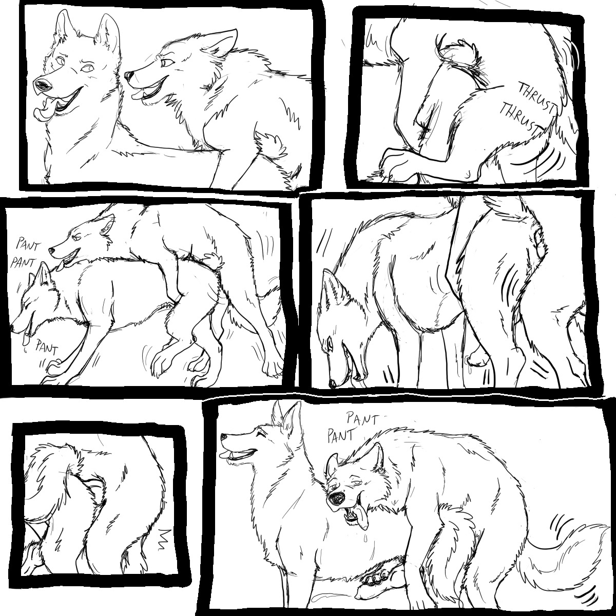 1:1 anal anal_penetration balls barkwoof canid canine canis domestic_dog duo e621 erection eyes_closed feral feral_on_feral genitals hi_res male male/male male_penetrated male_penetrating male_penetrating_male mammal monochrome nude open_mouth penetration penile penile_penetration penis penis_in_ass sex tail tongue wolf