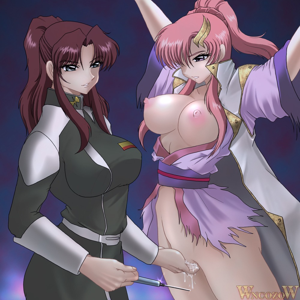 female flay_allster gundam gundam_seed lacus_clyne rule34 tagme wancozow