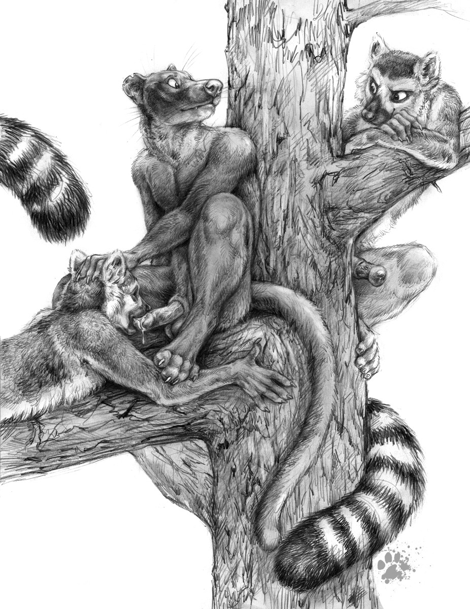 2012 anatomically_correct anatomically_correct_genitalia anatomically_correct_penis animal_genitalia animal_penis anthro balls blotch bodily_fluids claws cum cum_in_mouth cum_inside e621 erection euplerid feet fellatio fossa fur genital_fluids genitals greyscale group group_nudity hand_on_head hi_res humanoid_genitalia humanoid_penis hybrid_genitalia hybrid_penis lemur lemur_penis looking_at_viewer looking_back lying male male/male male_penetrated male_penetrating male_penetrating_male mammal markings monochrome nude on_front oral oral_penetration penetration penile penis plant prehensile_feet primate ring-tailed_lemur ring_(marking) ringed_tail scratches_volume_6 sex sheath simple_background sitting strepsirrhine striped_markings striped_tail stripes tail tail_markings toes traditional_media_(artwork) tree whiskers