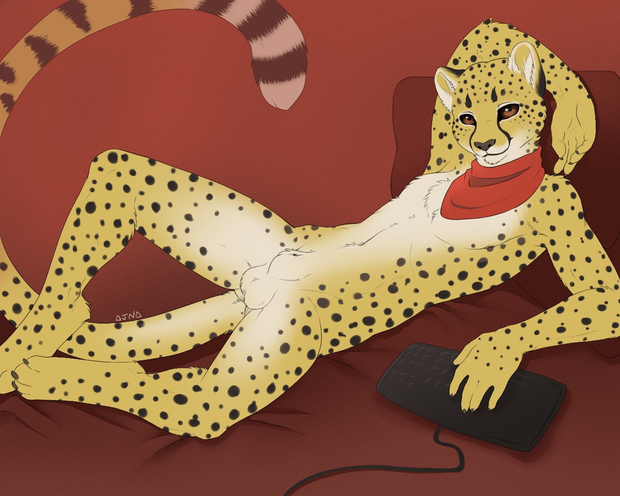 2014 5:4 ajna animal_genitalia anthro balls biped cheetah clothing e621 felid feline fully_sheathed genitals kerchief keyboard lying male mammal nude on_back sheath solo spread_legs spreading