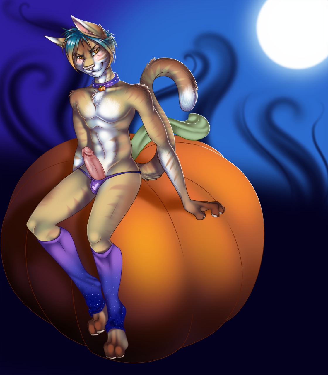 anthro blush clothing collar digital_media_(artwork) domestic_cat e621 erection felid feline felis fivel food fruit genitals halloween hi_res holidays legwear male mammal moon penis plant pose pumpkin solo stockings tabby_cat tail