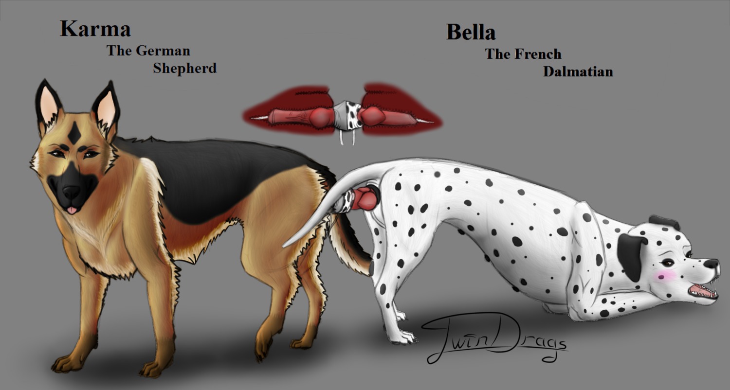 2014 anatomically_correct animal_dildo animal_genitalia animal_sex_toy animal_vulva ass_to_ass blush bodily_fluids canid canine canine_dildo canine_genitalia canine_vulva canis dalmatian digital_media_(artwork) dildo domestic_dog double_dildo double_knotted_dildo duo e621 english_text female female/female feral genitals german_shepherd half-closed_eyes herding_dog hi_res internal karma_(twindrags) knot knotted_dildo mammal narrowed_eyes open_mouth pastoral_dog penetration saliva sex sex_toy simple_background sketch teats teeth text tongue tongue_out twindrags vaginal vaginal_penetration vulva