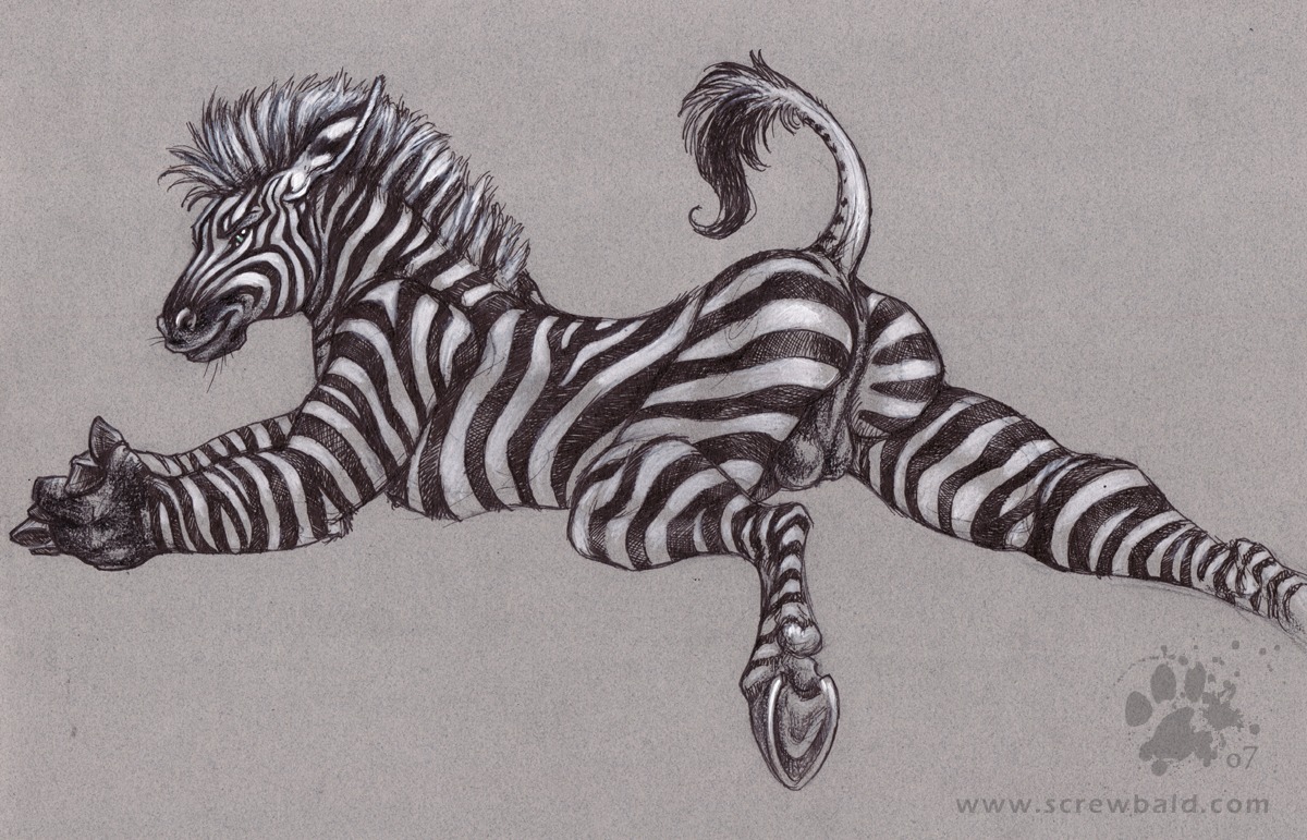 2007 anthro anus backsack balls black_body black_fur black_stripes blotch butt e621 equid equine fingers fur genitals hooved_fingers hooves looking_at_viewer male mammal monochrome multicolored_body multicolored_fur nude perineum presenting raised_tail scratches_volume_1 simple_background solo stripes tail tail_anus textured_background traditional_media_(artwork) two_tone_body two_tone_fur white_body white_fur zebra