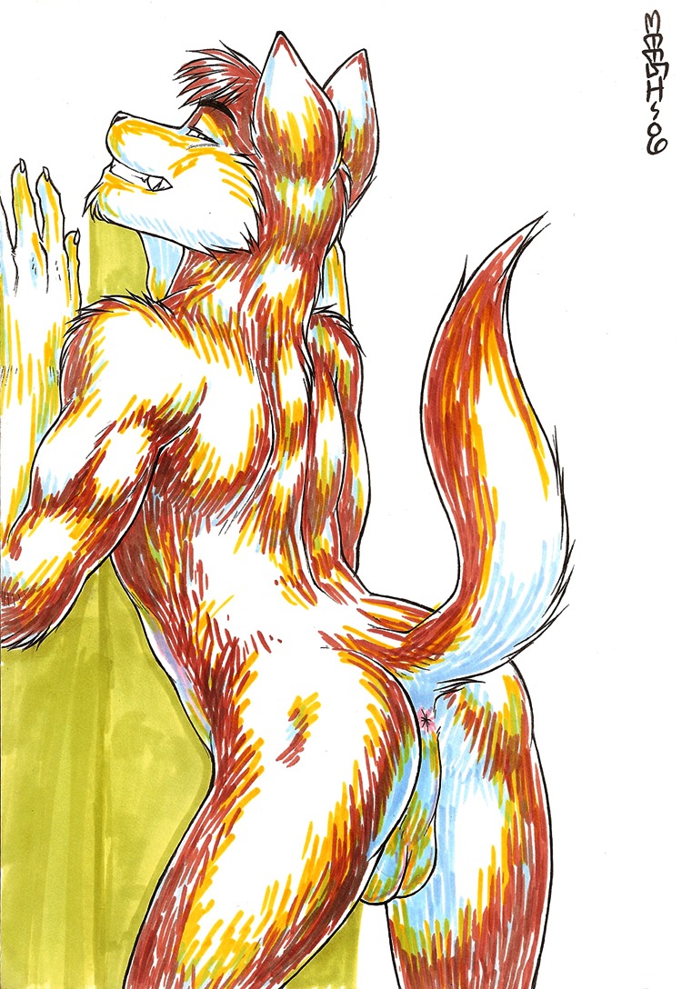 2006 anthro anus backsack balls butt canid canine digital_media_(artwork) e621 genitals looking_at_viewer male mammal marker_(artwork) meesh nude pinup pose presenting raised_tail simple_background solo tail tail_anus traditional_media_(artwork)