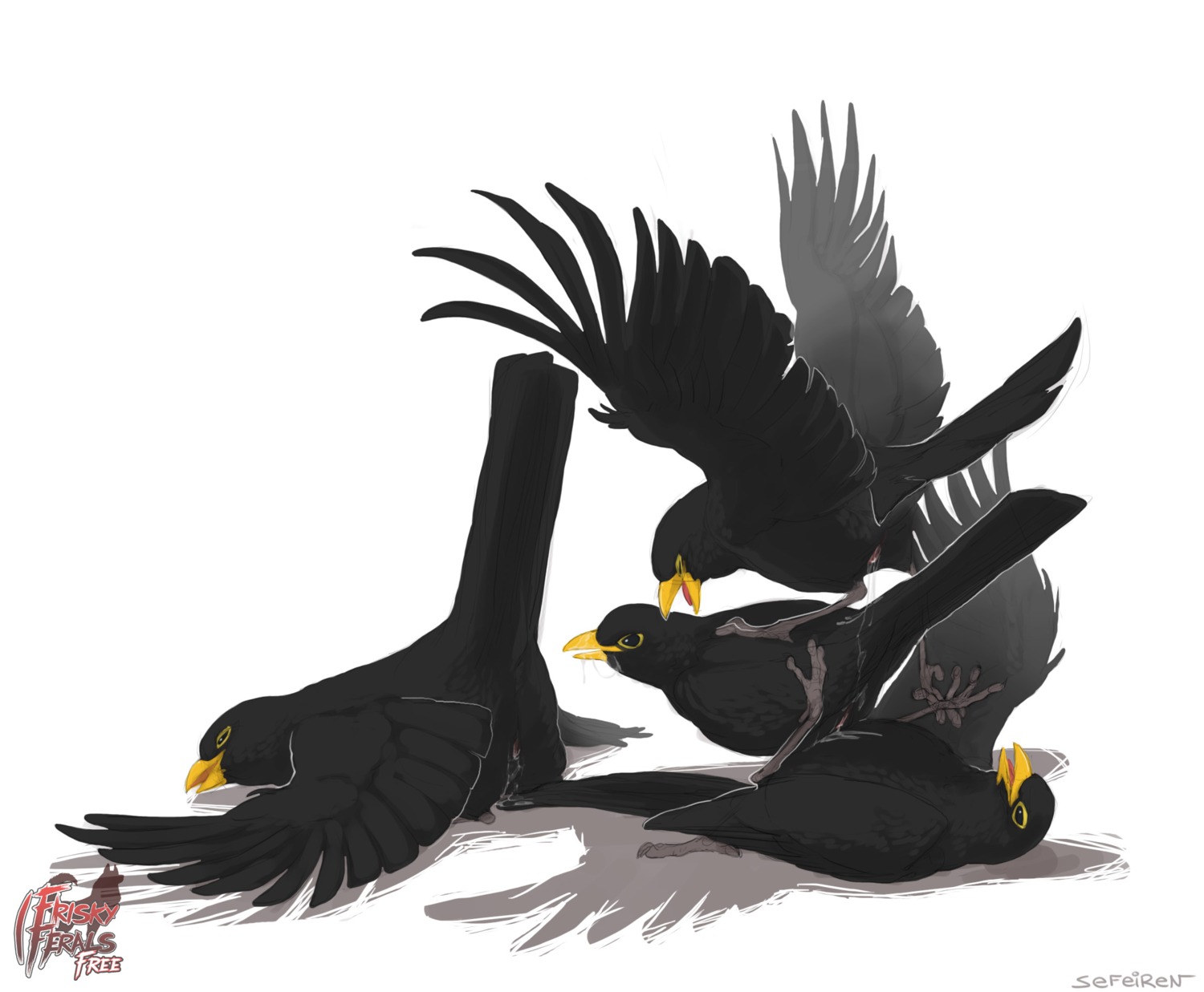 2013 abstract_background ambiguous_fluids animal_genitalia avian avian_feet beak bird black_body black_eyes black_feathers bodily_fluids cloaca cloaca_juice cloacal cloacal_kiss common_blackbird conditional_dnp cum cum_drip cum_in_cloaca cum_inside cum_on_beak cum_on_face cum_string dripping e621 feathers feral feral_on_feral foursome frisky_ferals genital_fluids genitals group group_sex hi_res lying male male/male nude on_back open_mouth oscine passerine raised_tail realistic_feral sefeiren sex sexual_dimorphism shadow signature simple_background sweat tail tail_feathers the_twelve_days_of_christmas_(song) thrush_(bird) tongue true_thrush white_background