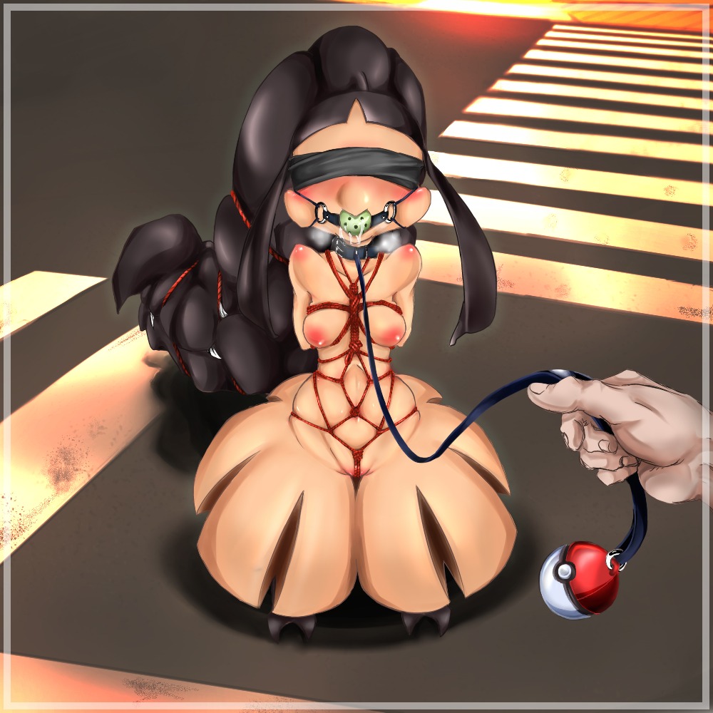 1:1 ball_gag bdsm blush bondage bound breasts collar crotch_rope duo e621 female gag gagged generation_3_pokemon leash mawile nintendo nipples pokemon pokemon_(species) rope small_breasts solo_focus unknown_artist