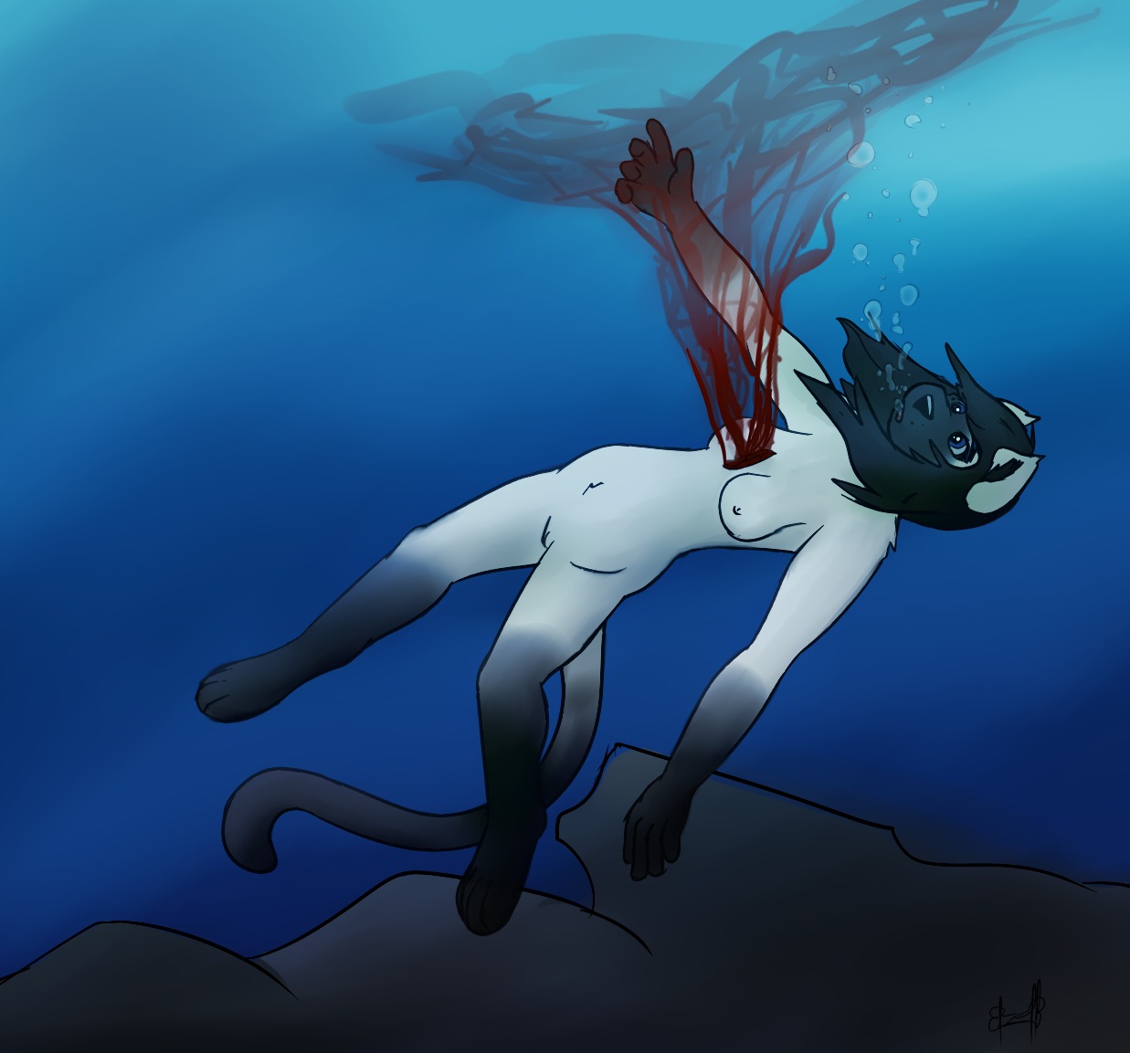 asphyxiation blood bodily_fluids breasts bubble death domestic_cat drowning dying e621 fatal_wound felid feline felis female fuzzywuff gore gore_focus mammal nipples nude pain sea siamese_cat simple_background sinking snuff solo stab stabbed_heart underwater water