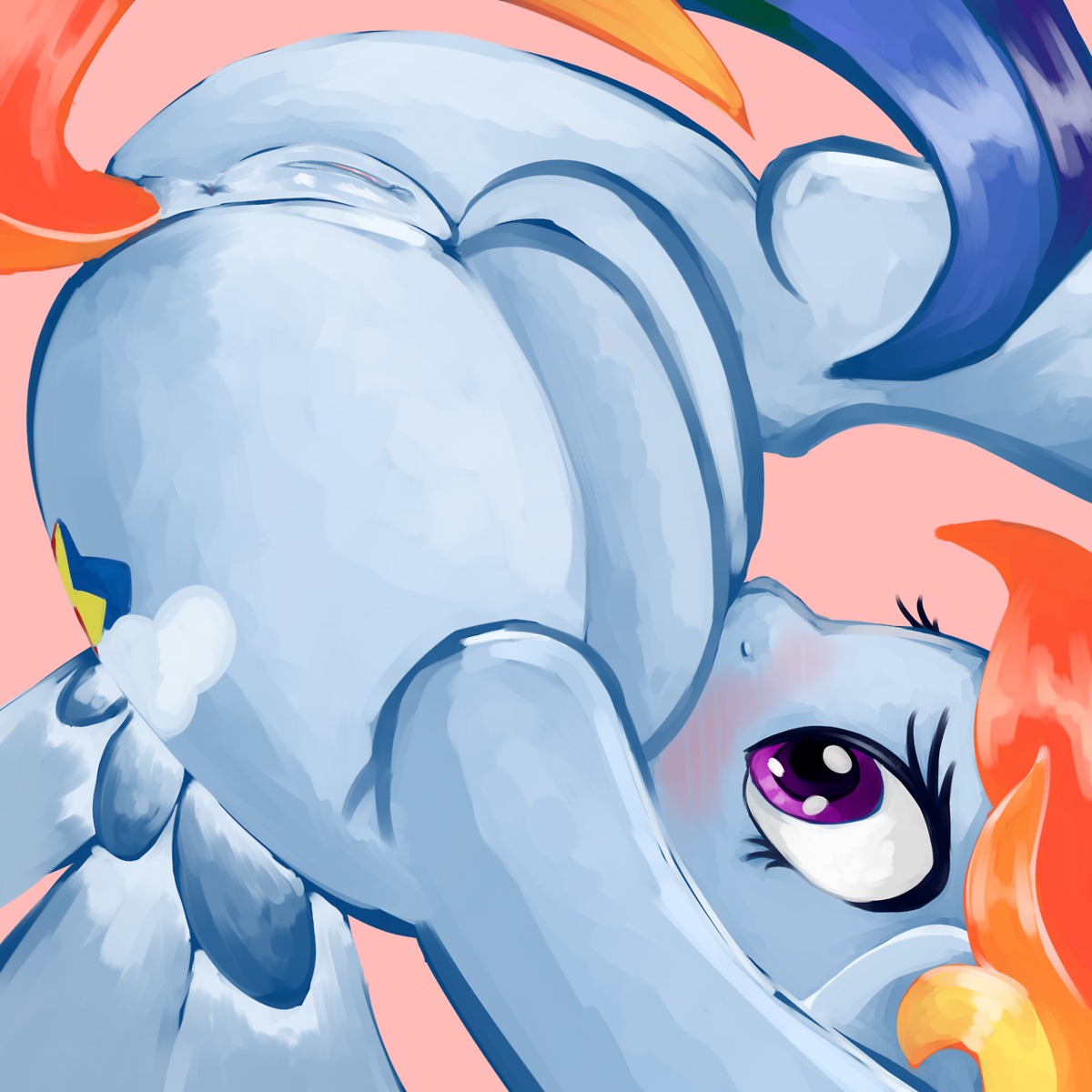 1:1 2013 anus blue_body blue_feathers blue_fur blush cutie_mark e621 equid equine feathered_wings feathers female feral friendship_is_magic fur genitals hair hasbro hi_res looking_through looking_through_legs mammal multicolored_hair my_little_pony mythological_creature mythological_equine mythology pegasus ponylicking rainbow_dash_(mlp) rainbow_hair solo tail upside_down vulva wings