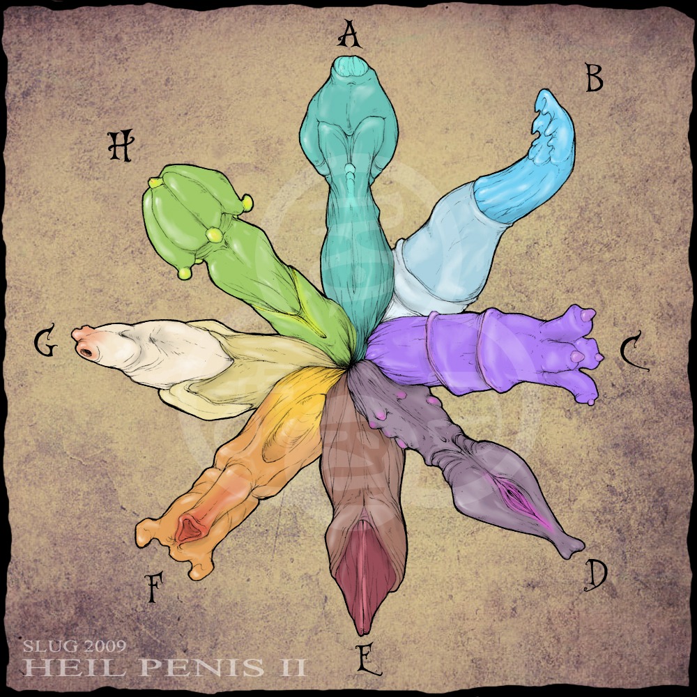 1:1 blue_penis brown_penis chart digital_media_(artwork) disembodied_penis e621 genitals green_penis grey_penis group male not_furry oddbird orange_penis penis penis_chart purple_penis unknown_species unusual_anatomy unusual_genitalia unusual_penis urethra yellow_penis