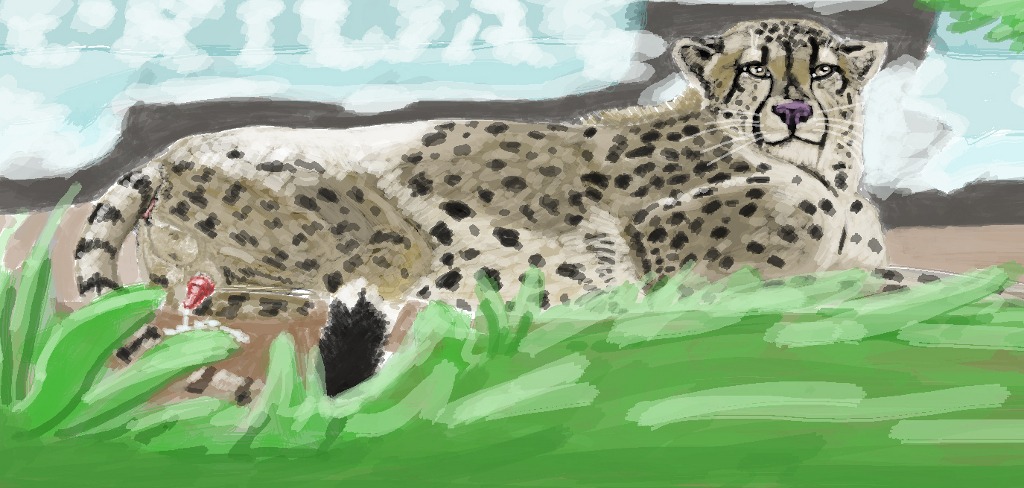 1boy cheetah feline feral gdane grass male male_only penis rule34 solo tail