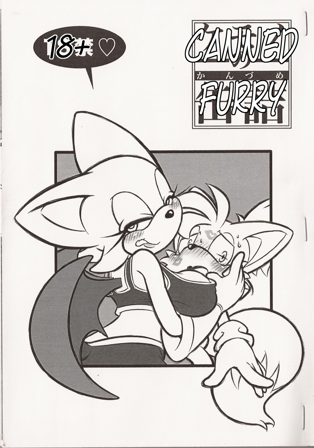 anthro bat big_breasts black_and_white breasts canine comic cum dialogue digital erection female fox fur furry male mammal monochrome penis rouge_the_bat rule34 scan sega sonic_(series) sonic_the_hedgehog_(series) straight tail tails tails_the_fox wings