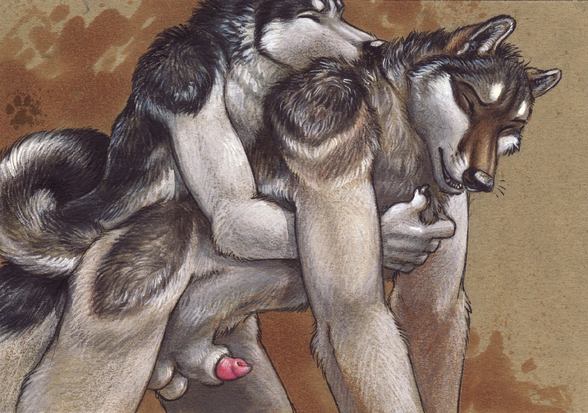 2009 all_fours anal animal_genitalia animal_penis anthro balls blotch breath canid canine canine_genitalia canine_penis canis doggystyle domestic_dog duo e621 eyes_closed flaccid from_behind_position genitals husky knot love male male/male male_penetrated male_penetrating male_penetrating_male mammal nordic_sled_dog panting penetration penis penis_tip scratches_volume_3 sex sheath spitz tail traditional_media_(artwork) wolf