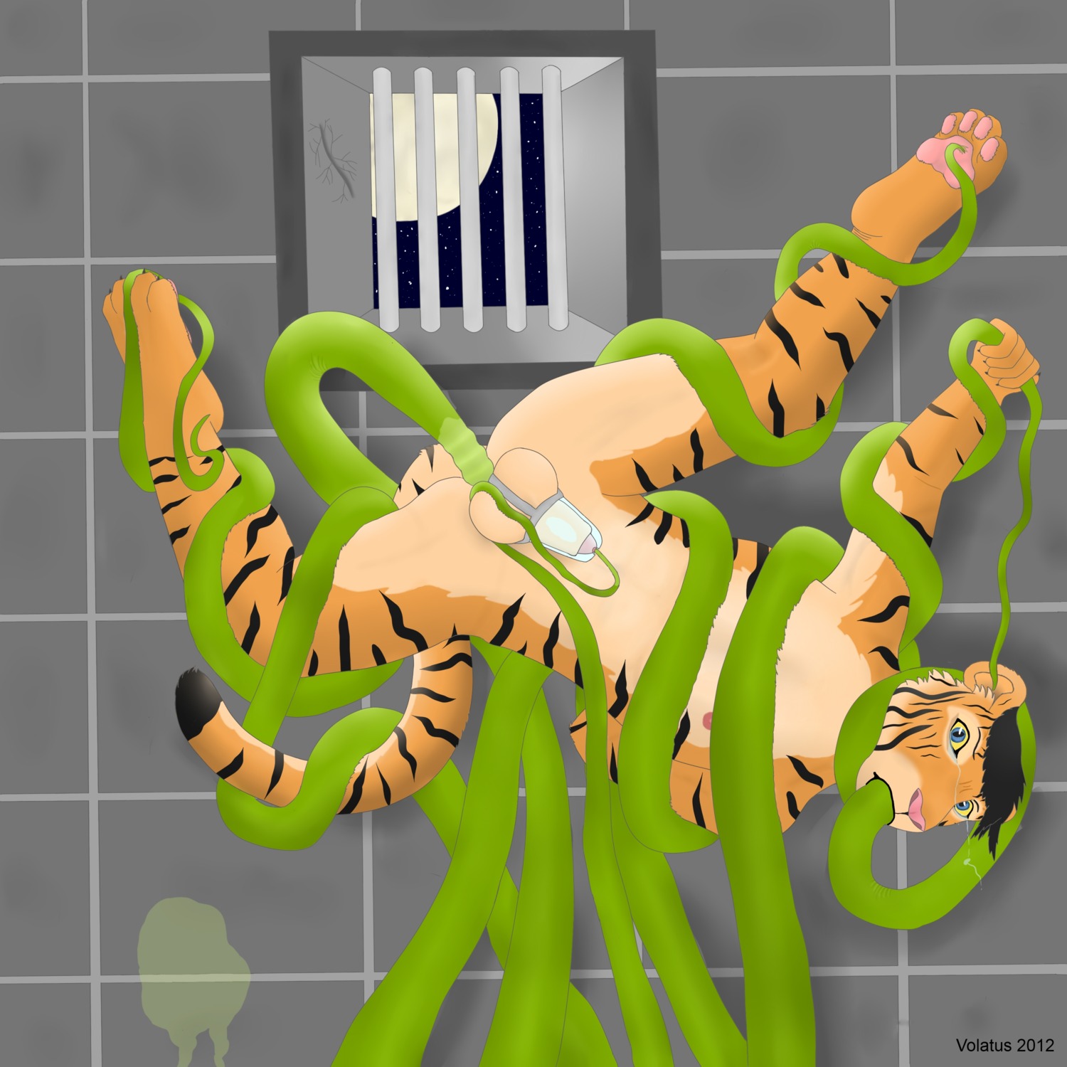 1:1 2012 absurd_res anal anal_penetration animal_genitalia anthro balls chastity_cage chastity_cage_only chastity_device chastity_device_only e621 felid fully_sheathed genitals hi_res looking_at_viewer male mammal nude over_sheath_chastity_cage pantherine penetration penis penis_tip phallic_chastity_device sex sheath sheath_chastity_cage sheathed_while_penetrated solid_chastity_cage solo stripes tail tentacle_in_ass tentacle_penetration tentacles tiger translucent translucent_chastity_cage urethral volatus wearing_chastity_cage wearing_chastity_device